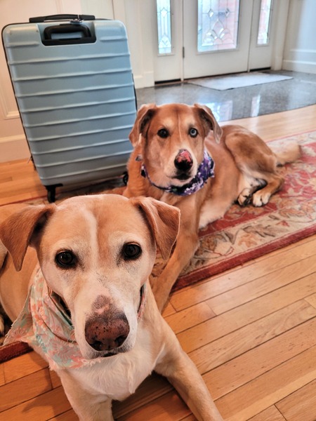 Chloe & Cosmo