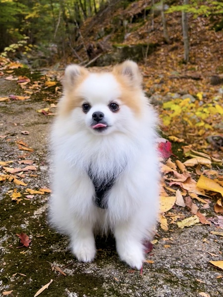 Gary