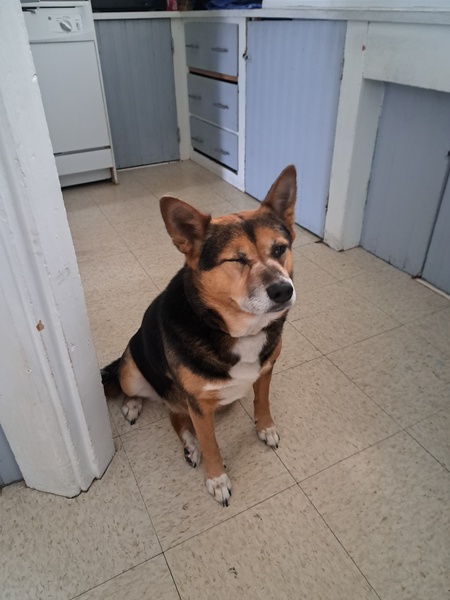 Bella