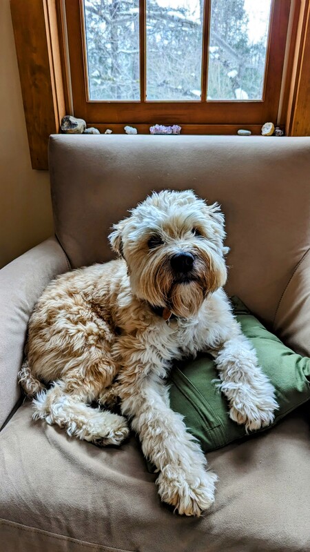 Zoey