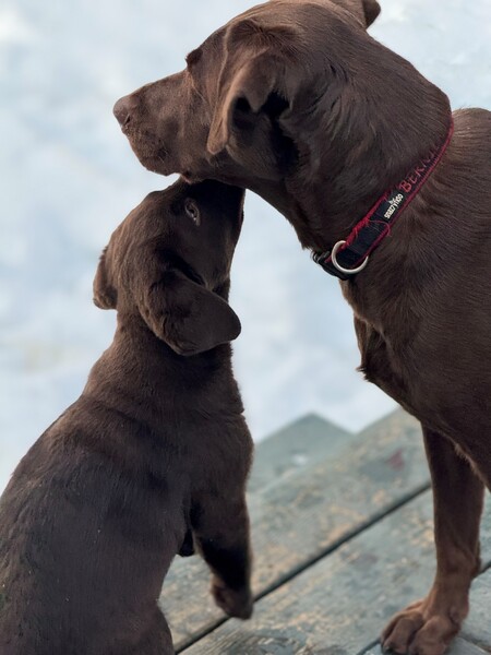 Bernie and Fred