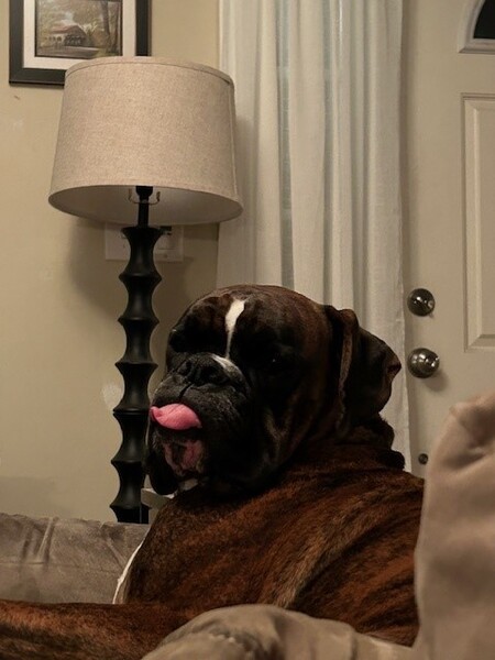 Deacon