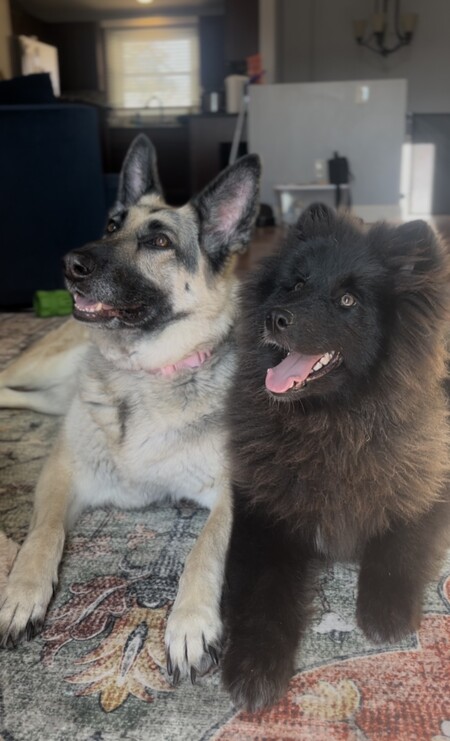 Nellie & Frankie