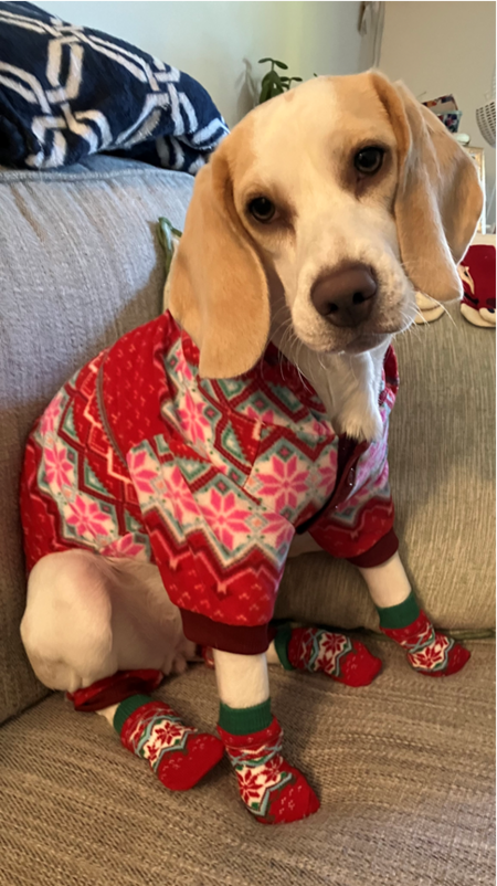 Lemmy Louise