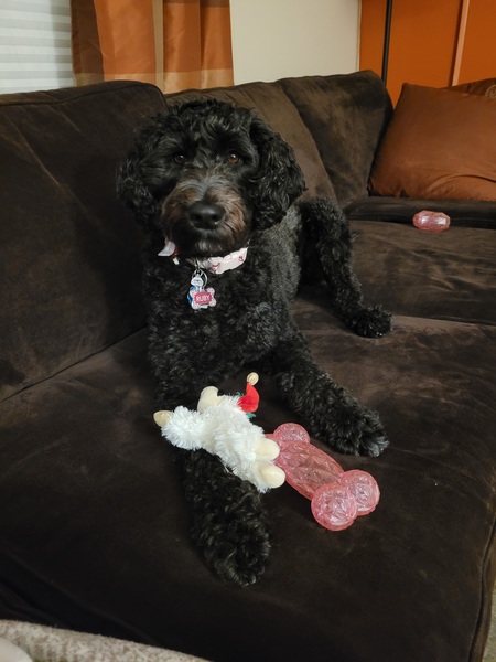 Ruby
