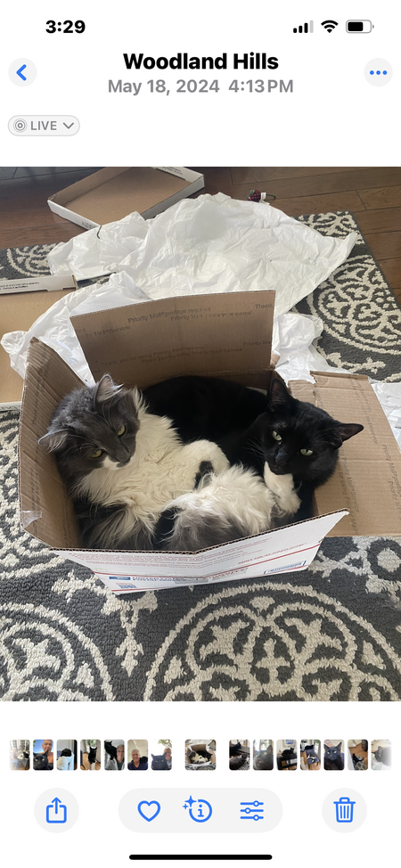 Oliver & Hazel