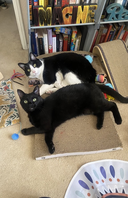 Liam  and Beatrix