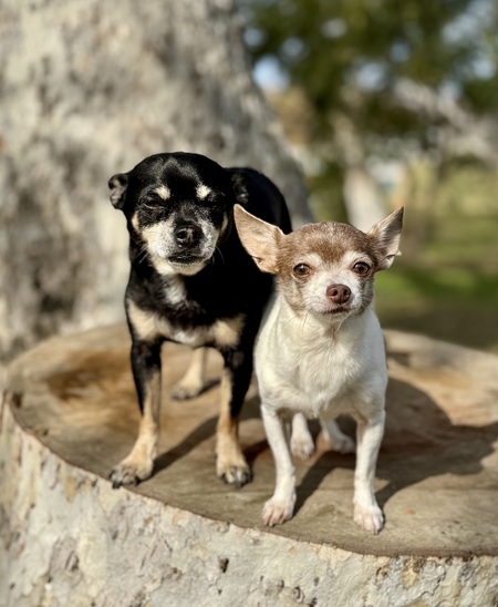 Charlotte and Osito 