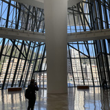Entry image for Guggenheim Windows