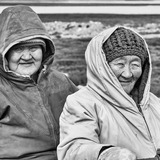 Entry image for Generations