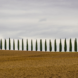 Entry image for In A Tuscany Line II