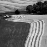 Entry image for Farming the Palouse