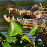 Entry image for Smile!