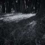 Entry image for I see the light