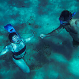 Entry image for Proposal Happening