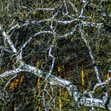 Entry image for The Gates [After Pollock]