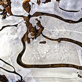 Entry image for Puddle Magic