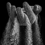 Entry image for Time's Fragile Hold