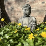 Entry image for Ancestral Backyard Spirit, 4/23/25 8:16 am