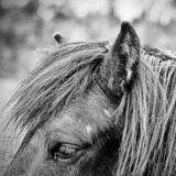 Entry image for My Friend