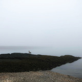 Entry image for MIST