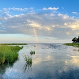 Entry image for DIVINE REFLECTION