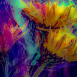 Entry image for Sunken