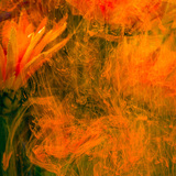 Entry image for Orange Reverie