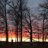 Entry image for Marsh Trail Sunset