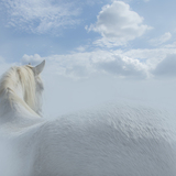 Entry image for Waiting at the Rainbow Bridge