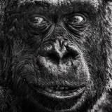 Entry image for My close up