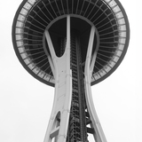 Entry image for The Needle