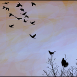 Entry image for Blackbird Fly