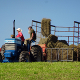 Entry image for Dan and Mark, Baling the Final Cutting