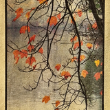 Entry image for Drizzle VII