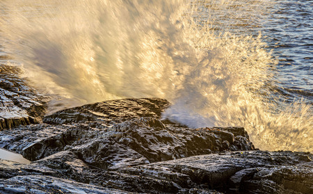 Nova Scotia Shoreline