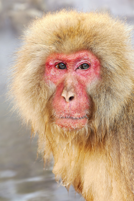 Entry image for Old and Wise. Clicking this image will show a larger photo