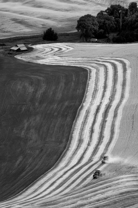 Entry image for Farming the Palouse. Clicking this image will show a larger photo