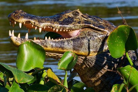 Entry image for Smile!. Clicking this image will show a larger photo