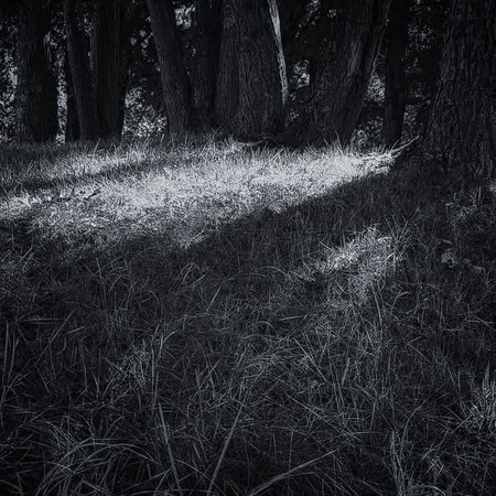 Entry image for I see the light. Clicking this image will show a larger photo