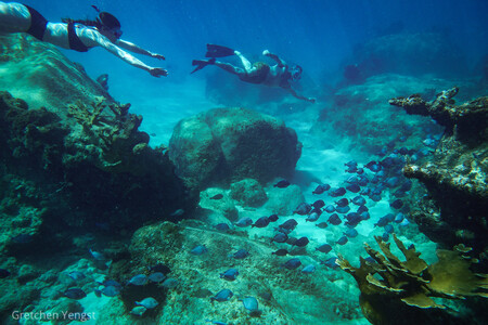 Entry image for Swimming with the Fish. Clicking this image will show a larger photo