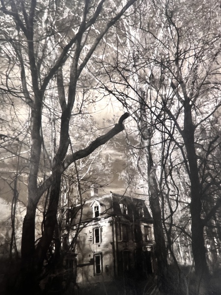 Hitchcock House