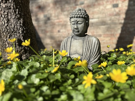 Entry image for Ancestral Backyard Spirit, 4/23/25 8:16 am. Clicking this image will show a larger photo