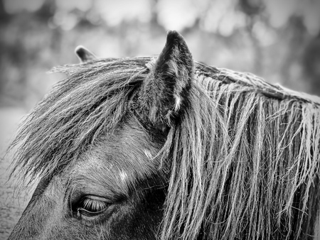 Entry image for My Friend. Clicking this image will show a larger photo