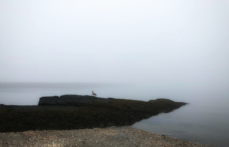 Entry image for MIST. Clicking this image will show a larger photo