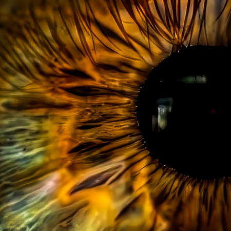 Entry image for A World Within. Clicking this image will show a larger photo