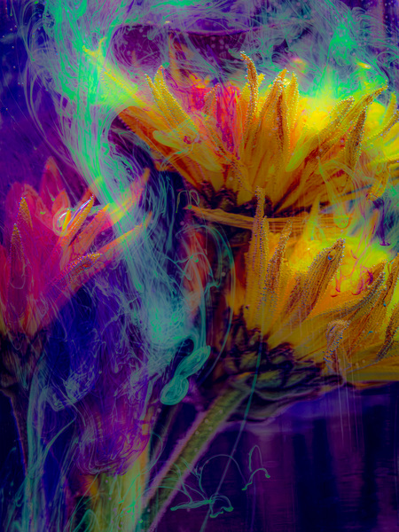 Entry image for Sunken. Clicking this image will show a larger photo