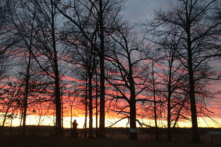 Entry image for Marsh Trail Sunset. Clicking this image will show a larger photo