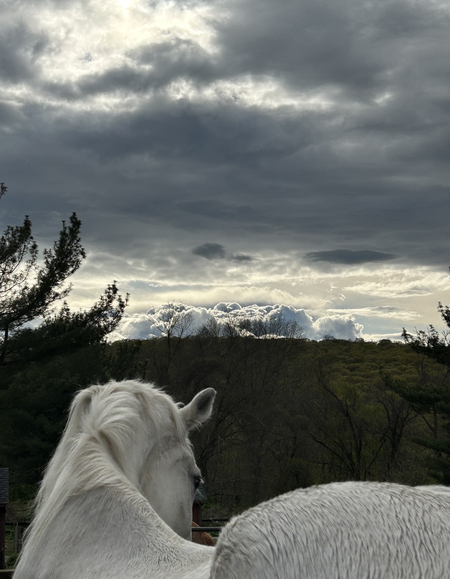 Fiona and the Stormy Skies