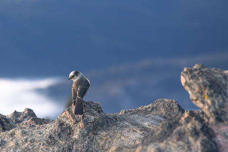 Entry image for Eagle Mountain. Clicking this image will show a larger photo